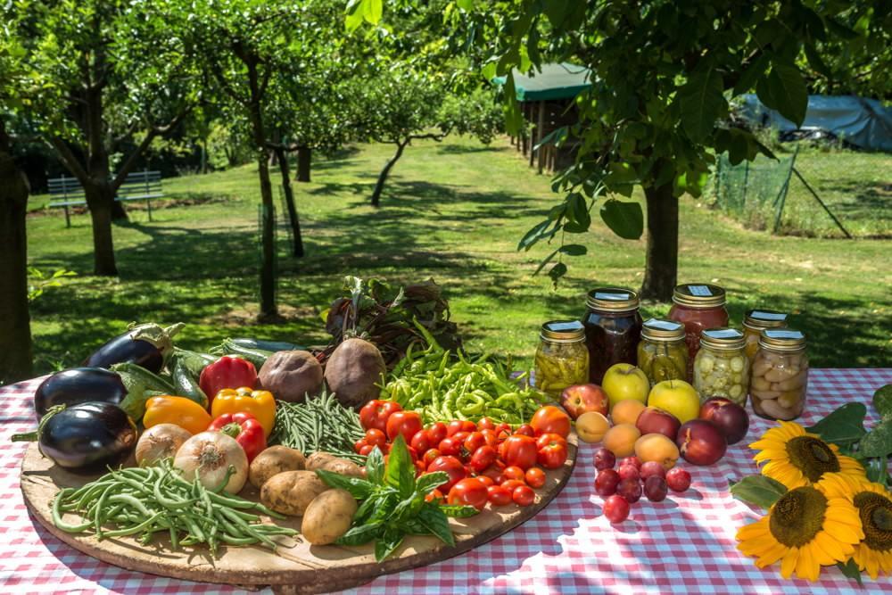 Vila Colli Berici Arcugnano Exteriér fotografie